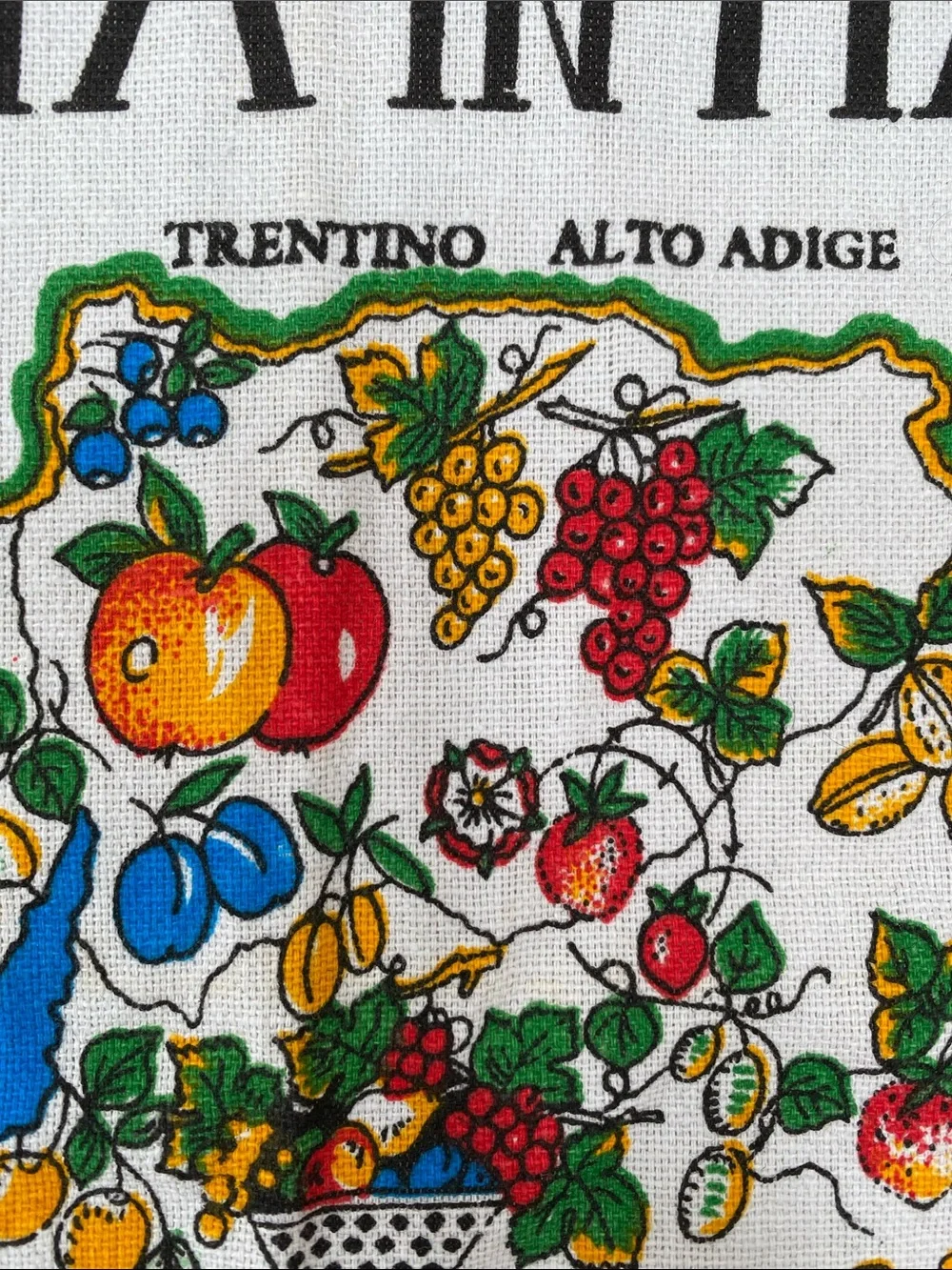 Italian Map Illustration Kitchen Towel / Tapestries 22 x 33 inches NWOT